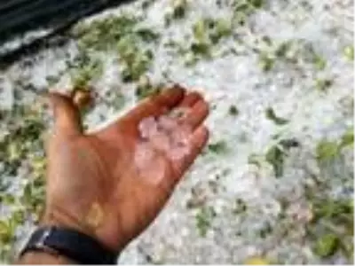 Kumluca'da şiddetli yağmur, dolu ve fırtına: 1 ölü (3) Kumluca'da şiddetli yağmur, dolu ve fırtına: 1 ölü (3)