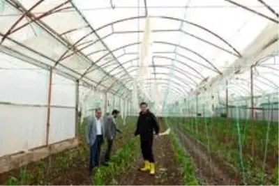 Kumluca'daki fırtına narenciye seralarını vurdu Kumluca'daki fırtına narenciye seralarını vurdu