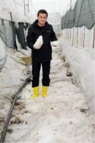 Kumluca'daki fırtına narenciye seralarını vurdu Kumluca'daki fırtına narenciye seralarını vurdu
