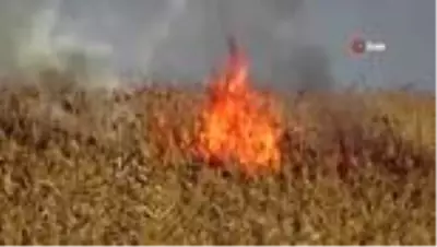 Kuş cenneti Nehil Sazlığı'ndaki yangın devam ediyor Kuş cenneti Nehil Sazlığı'ndaki yangın devam ediyor