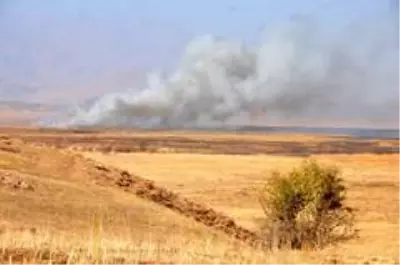 Kuş cenneti Nehil Sazlığı'ndaki yangın devam ediyor Kuş cenneti Nehil Sazlığı'ndaki yangın devam ediyor
