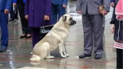 Muhtarların saygı duruşuna eşlik eden sokak köpeği gülümsetti Muhtarların saygı duruşuna eşlik eden sokak köpeği gülümsetti