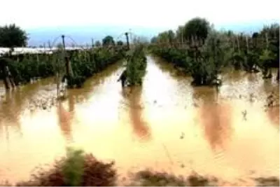 Sarıgöl'de sel zarara yol açtı