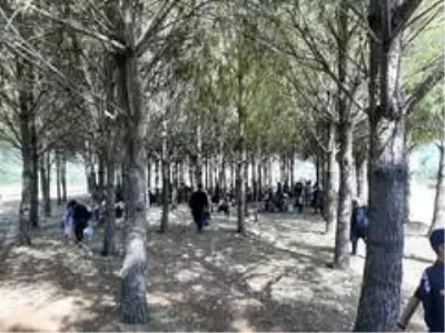 Seydikemer'de 75 düzensiz göçmen yakalandı Seydikemer'de 75 düzensiz göçmen yakalandı