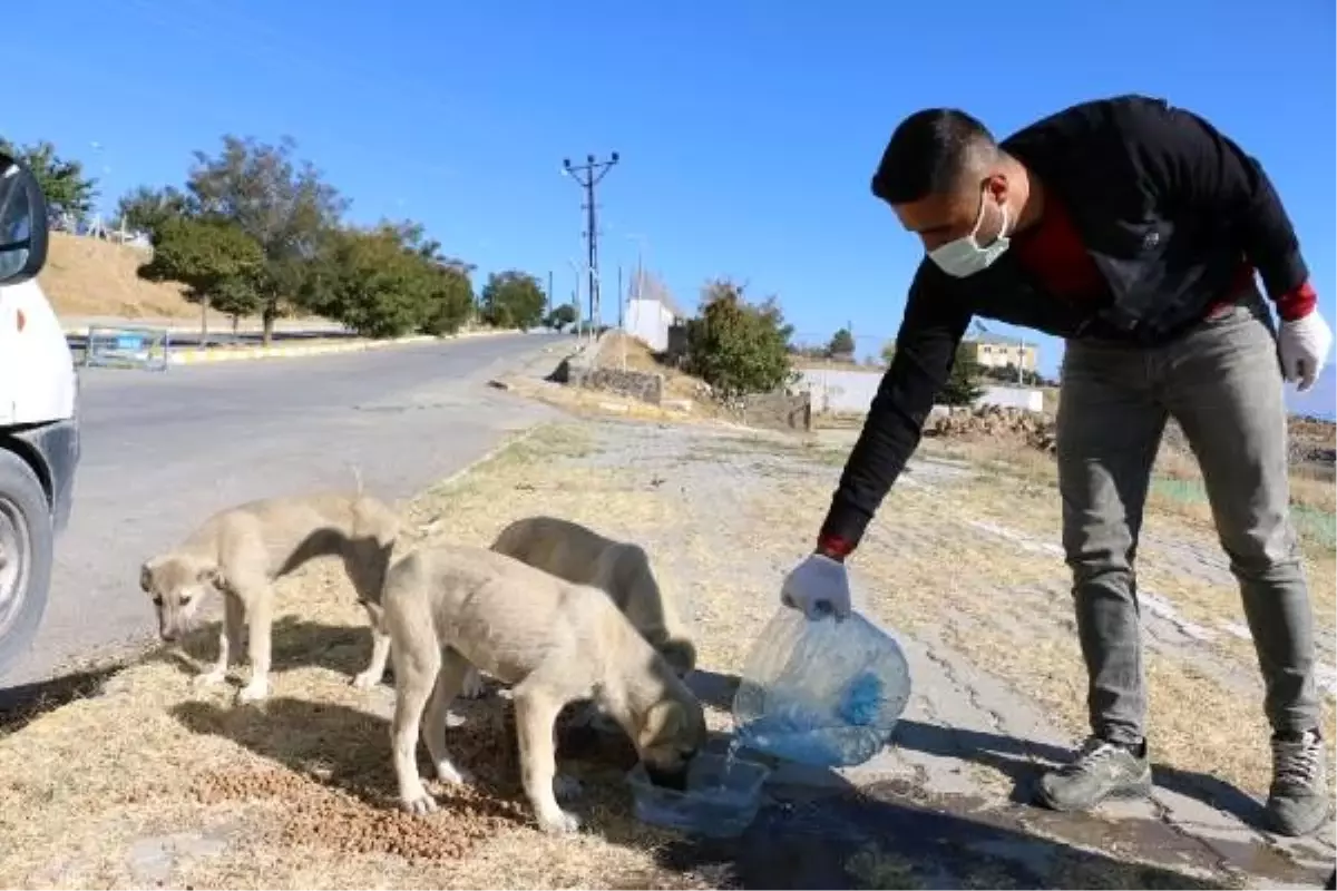 Sokak hayvanları için doğaya su ve yiyecek bıraktılar Haberler