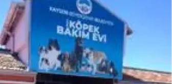 Doğa Koruma Ve Milli Parklar: Tehlikeli ırk köpek besleyen 3 kişiye 38 bin TL para cezası Doğa Koruma Ve Milli Parklar: Tehlikeli ırk köpek besleyen 3 kişiye 38 bin TL para cezası