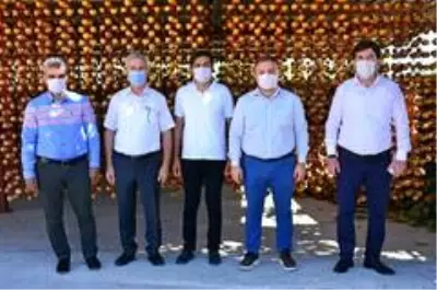 Trabzon hurması sofraları süslemeye başladı Trabzon hurması sofraları süslemeye başladı