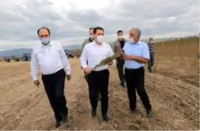 Vali Masatlı, Gökhöyük Tarım İşletmesinde incelemelerde bulundu Vali Masatlı, Gökhöyük Tarım İşletmesinde incelemelerde bulundu