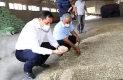 Vali Masatlı, Gökhöyük Tarım İşletmesinde incelemelerde bulundu Vali Masatlı, Gökhöyük Tarım İşletmesinde incelemelerde bulundu