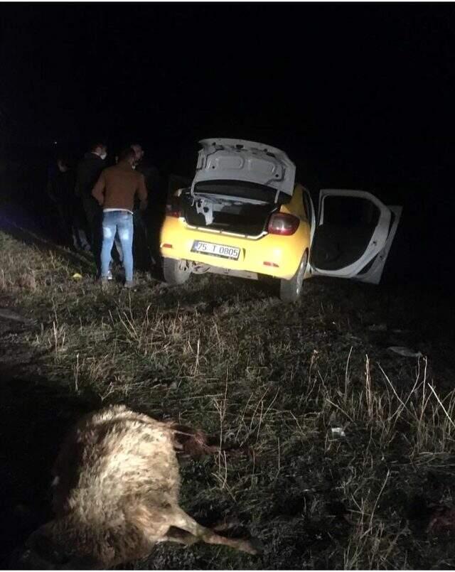 Yola aniden çıkan koyunların sebep olduğu kazada 2 kişi öldü, 2 kişi yaralandı Yola aniden çıkan koyunların sebep olduğu kazada 2 kişi öldü, 2 kişi yaralandı