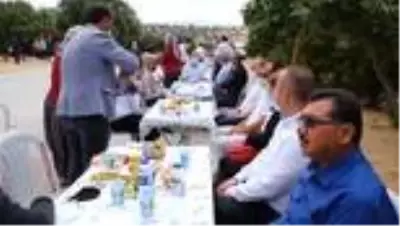 1300 yıllık anıt ağacın zeytinleri hasat edildi