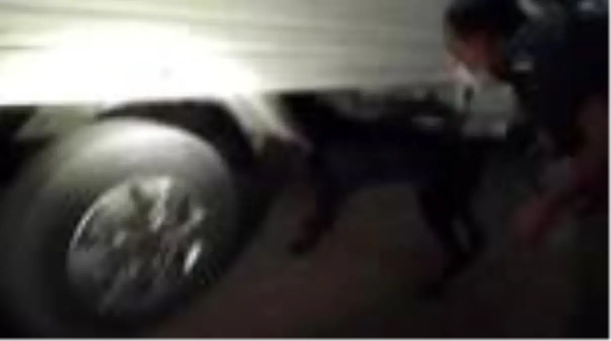 46 bin 500 uyuşturucu hap ile 40 kilogram esrar ele geçirildi