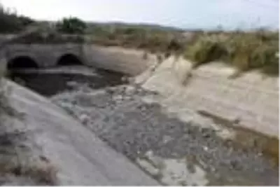 Aydın'da, sulama kanalında çok sayıda 'ölü balık' bulundu Aydın'da, sulama kanalında çok sayıda 'ölü balık' bulundu
