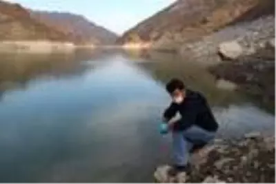 Baraj Gölünün yüzeyinde kümeleşen balıklar şaşırttı Baraj Gölünün yüzeyinde kümeleşen balıklar şaşırttı