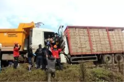 Bolu'da kamyonlar kafa kafaya çarpıştı: 2 yaralı Bolu'da kamyonlar kafa kafaya çarpıştı: 2 yaralı