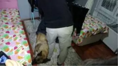 Son dakika haberi | Bursa'da şafak operasyonu, mahalle abluka alındı Son dakika haberi | Bursa'da şafak operasyonu, mahalle abluka alındı