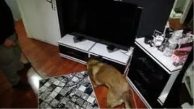 Son dakika haberi | Bursa'da şafak operasyonu, mahalle abluka alındı Son dakika haberi | Bursa'da şafak operasyonu, mahalle abluka alındı