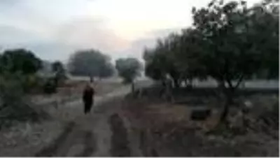 Çiftlikte çıkan yangın 3 saatte söndürüldü Çiftlikte çıkan yangın 3 saatte söndürüldü