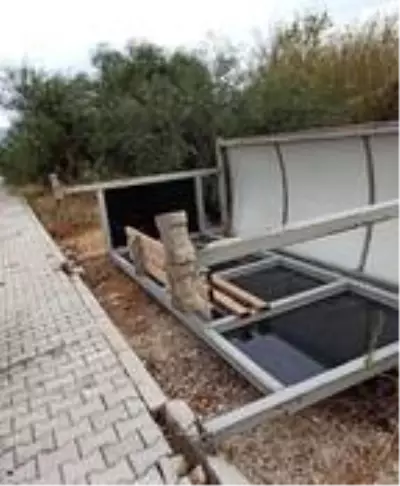 Fırtına nedeniyle devrilen durağın altında kalmıştı: Tüp bebek tedavisi için hastaneye gidiyormuş Fırtına nedeniyle devrilen durağın altında kalmıştı: Tüp bebek tedavisi için hastaneye gidiyormuş