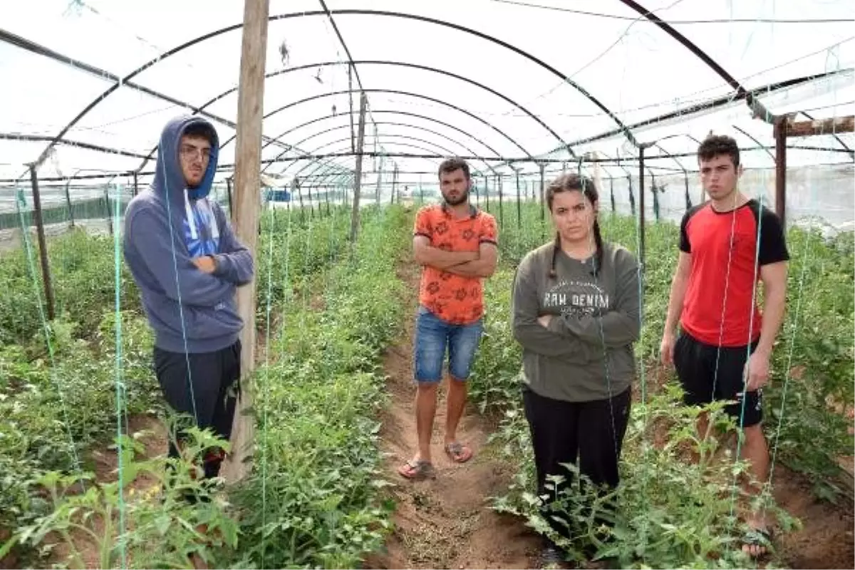 Durağın altında can veren Gülseren, tüp bebek tedavisi için doktora