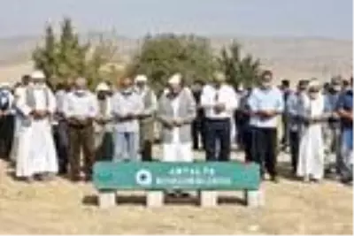 Durağın altında can veren Gülseren, tüp bebek tedavisi için doktora gidiyormuş Durağın altında can veren Gülseren, tüp bebek tedavisi için doktora gidiyormuş