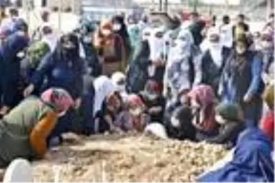 Durağın altında can veren Gülseren, tüp bebek tedavisi için doktora gidiyormuş Durağın altında can veren Gülseren, tüp bebek tedavisi için doktora gidiyormuş