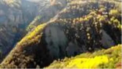 Erzincan'da sonbaharda renk cümbüşü Erzincan'da sonbaharda renk cümbüşü