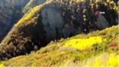 Erzincan'da sonbaharda renk cümbüşü Erzincan'da sonbaharda renk cümbüşü