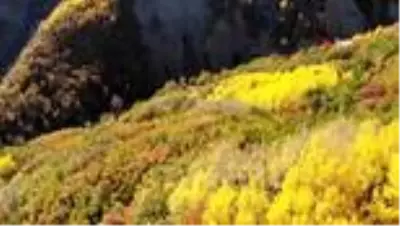 Erzincan'da sonbaharda renk cümbüşü Erzincan'da sonbaharda renk cümbüşü