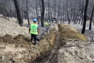 Hatay'daki yangın bölgesinde altyapı çalışmaları Hatay'daki yangın bölgesinde altyapı çalışmaları