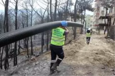 Hatay'daki yangın bölgesinde altyapı çalışmaları Hatay'daki yangın bölgesinde altyapı çalışmaları