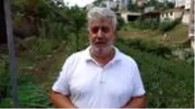 Karadeniz'in yeni meyvesi 'Aronya'da ilk hasat Karadeniz'in yeni meyvesi 'Aronya'da ilk hasat