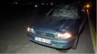 Kars'ta aniden yola çıkan at kazaya neden oldu: 1 yaralı Kars'ta aniden yola çıkan at kazaya neden oldu: 1 yaralı