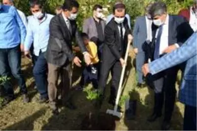 Kırıkhan'da bin 500 nar fidanı dağıtıldı Kırıkhan'da bin 500 nar fidanı dağıtıldı