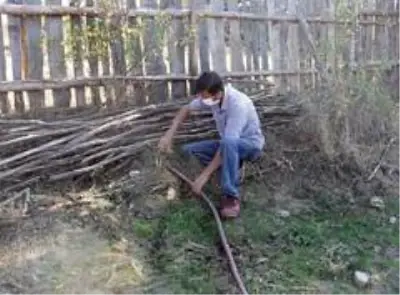 Kızgın damadın ormanlık alanı sulayarak yetiştirdiği mantarlar yok satıyor Kızgın damadın ormanlık alanı sulayarak yetiştirdiği mantarlar yok satıyor