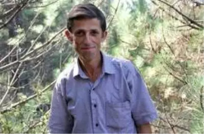 Kızgın damadın ormanlık alanı sulayarak yetiştirdiği mantarlar yok satıyor Kızgın damadın ormanlık alanı sulayarak yetiştirdiği mantarlar yok satıyor