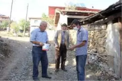 Kızgın damadın ormanlık alanı sulayarak yetiştirdiği mantarlar yok satıyor Kızgın damadın ormanlık alanı sulayarak yetiştirdiği mantarlar yok satıyor