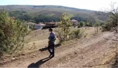 Kızgın damadın ormanlık alanı sulayarak yetiştirdiği mantarlar yok satıyor Kızgın damadın ormanlık alanı sulayarak yetiştirdiği mantarlar yok satıyor