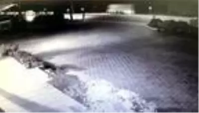 Kontrolden çıkan TIR'ın kaza anı kamerada