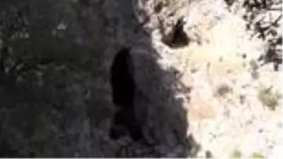 Koruma altına alınan mağaralar doğa tutkunlarını bekliyor Koruma altına alınan mağaralar doğa tutkunlarını bekliyor