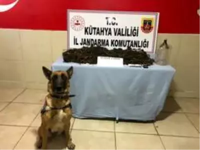 Son dakika... Kütahya'da uyuşturucu operasyonu: 2 gözaltı Son dakika... Kütahya'da uyuşturucu operasyonu: 2 gözaltı