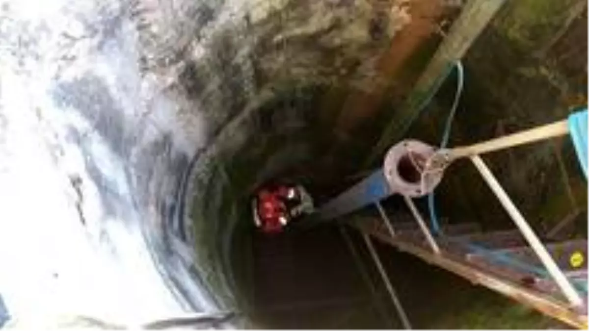 Son dakika haberleri... Kuyuya düşen yavru köpeği itfaiye kurtardı