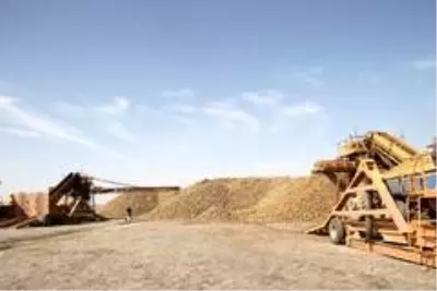 Malazgirt'te pancar alımı devam ediyor Malazgirt'te pancar alımı devam ediyor
