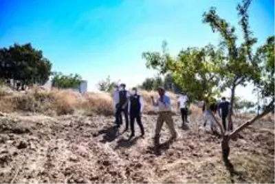 Son dakika ekonomi: Şahin, 'Amacımız teknik tarım ile katma değeri yüksek ürünler üretmek' Son dakika ekonomi: Şahin, 'Amacımız teknik tarım ile katma değeri yüksek ürünler üretmek'