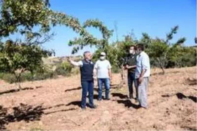 Son dakika ekonomi: Şahin, 'Amacımız teknik tarım ile katma değeri yüksek ürünler üretmek' Son dakika ekonomi: Şahin, 'Amacımız teknik tarım ile katma değeri yüksek ürünler üretmek'