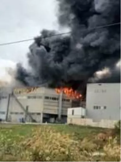 Son dakika haberi | Silivri'de sünger fabrikası alevlere teslim oldu Son dakika haberi | Silivri'de sünger fabrikası alevlere teslim oldu