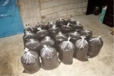 Solucan gübresi Sasonlu çiftin geçim kaynağı oldu