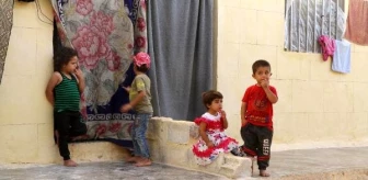 İdlib'e 200 briket evlik yaşam merkezi kurulduSuriye'nin İdlib kentinde 200 briket evden oluşan Muhammed Mursi Yetim Yaşam Merkezi açıldı-...