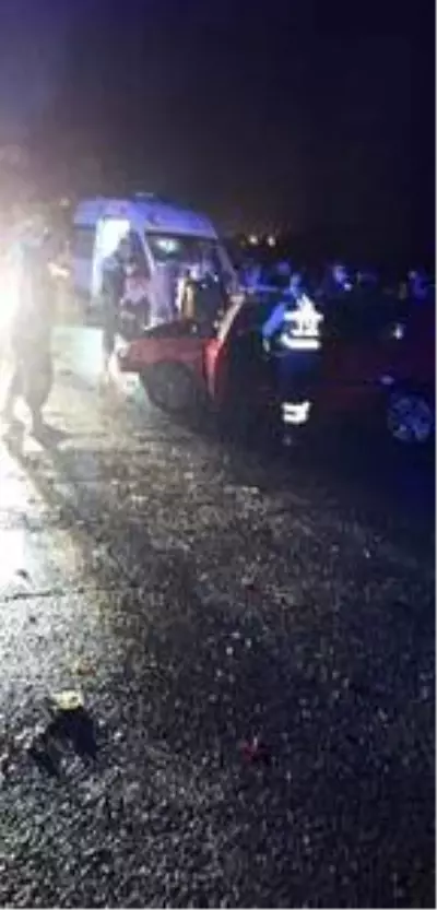 Son dakika haberleri | TIR'a çarpan otomobildeki Selin öldü, erkek kardeşi yaralı Son dakika haberleri | TIR'a çarpan otomobildeki Selin öldü, erkek kardeşi yaralı
