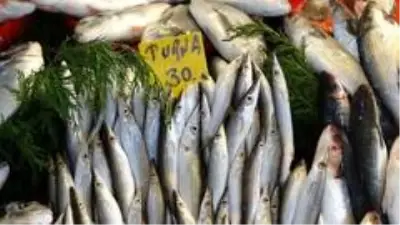 Van'da inci kefali denetimi Van'da inci kefali denetimi